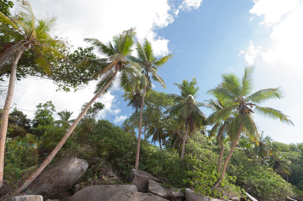 Villa Bel Age Anse Royale Exterior photo